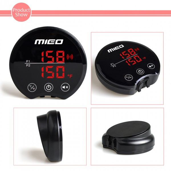 Barbecue Thermometer B21 detail.jpg